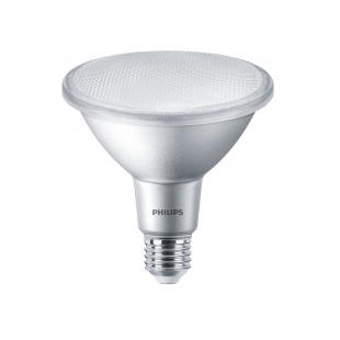 MAS D PAR 38 13-100W 927 25D