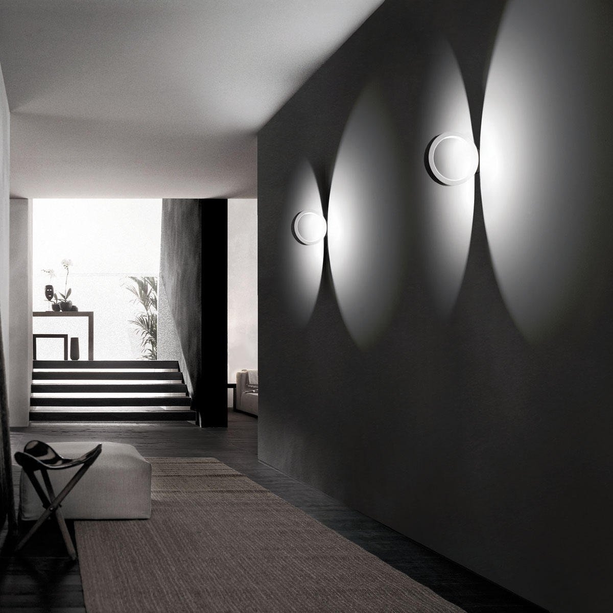 Assolo V�gg 20 vit