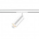 All-in Fino spotlight 30 grader vit All-in Fino spotlight 30 grader vit