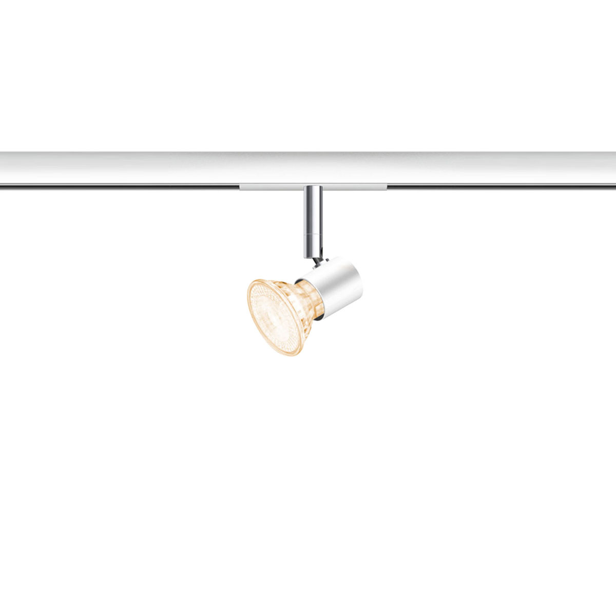 All-in Fair spotlight