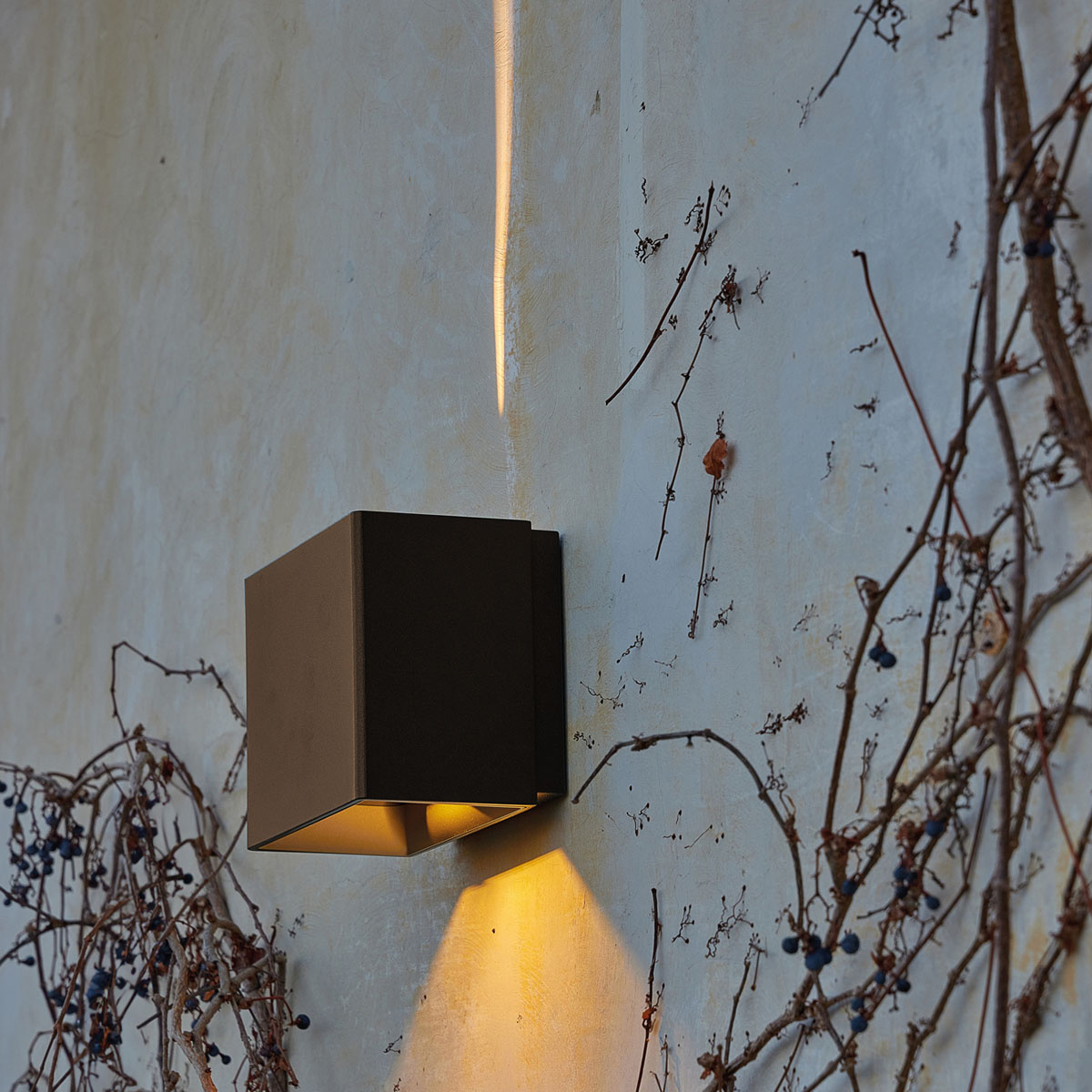 Allure graphic rostbrun blade-adj