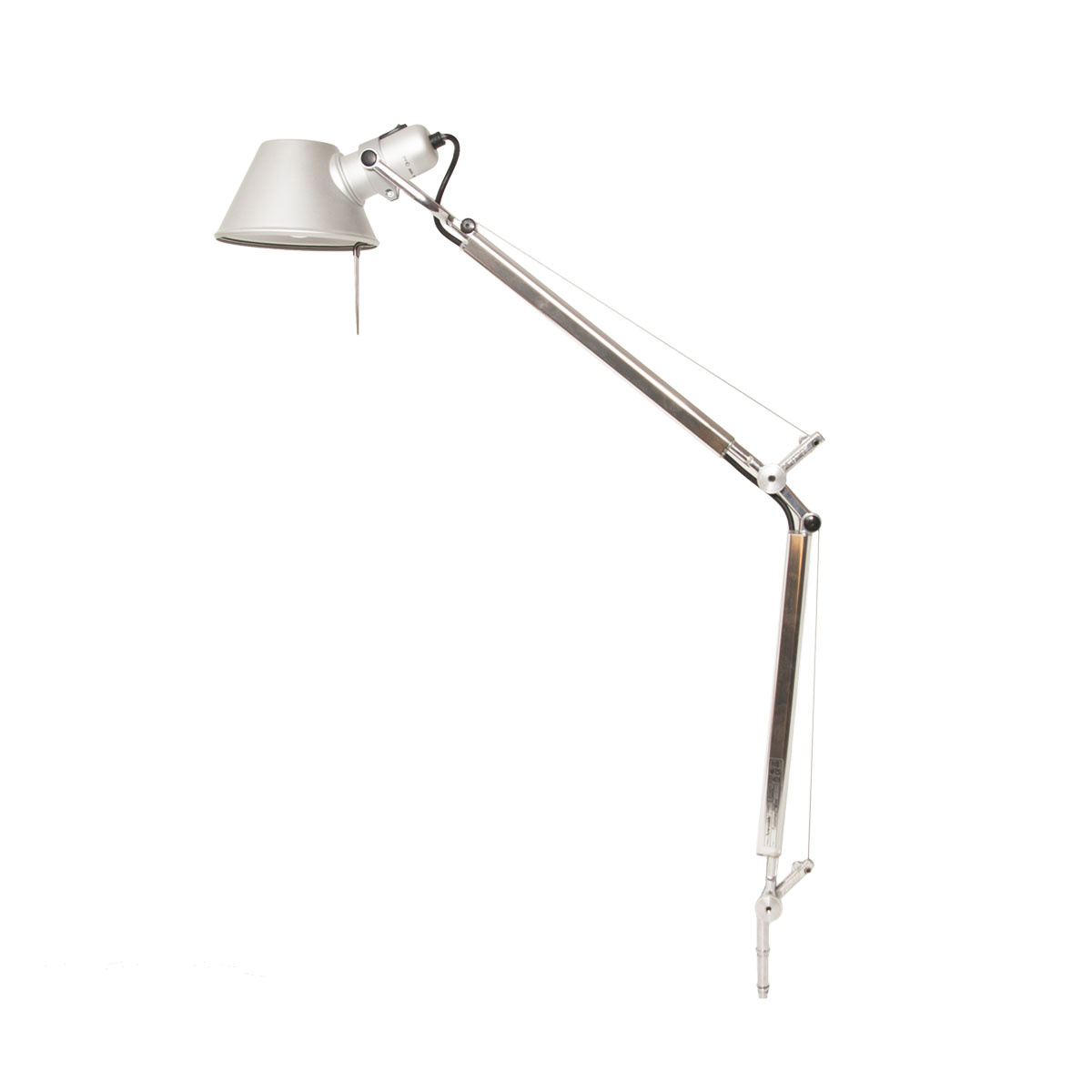 Tolomeo mini stomme